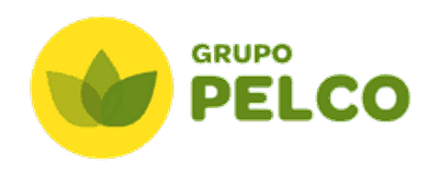 Grupo Pelco — instalación con backup